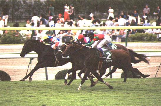 ���[�� �����̍U�h�i�Q�j