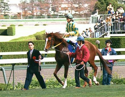 �}���m�g�b�v�K�����ގ�(97.11.30 ��_���n��)