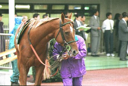 �p�h�b�N �^�C�L�V���g��