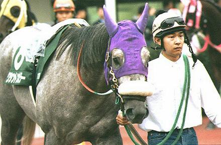 �p�h�b�N�@���V���g���J���[