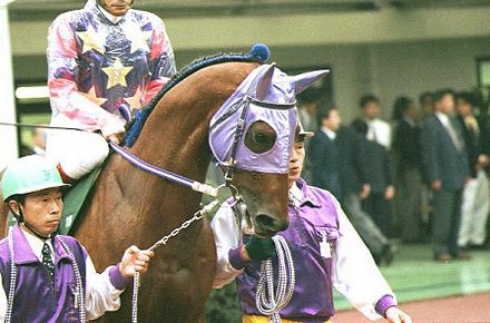 �p�h�b�N  �T�v���C�Y�p���[