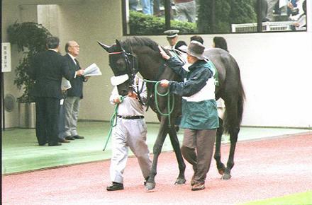 �p�h�b�N�@�V���E�i���i���o�[