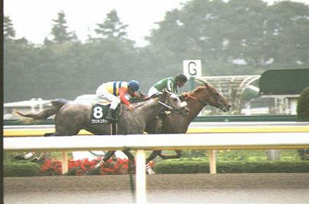 �������X�g�P�O�O��