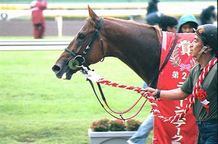 �������^�C�L�V���g���̉���