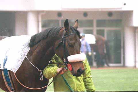 �z�N�g�V���t�F