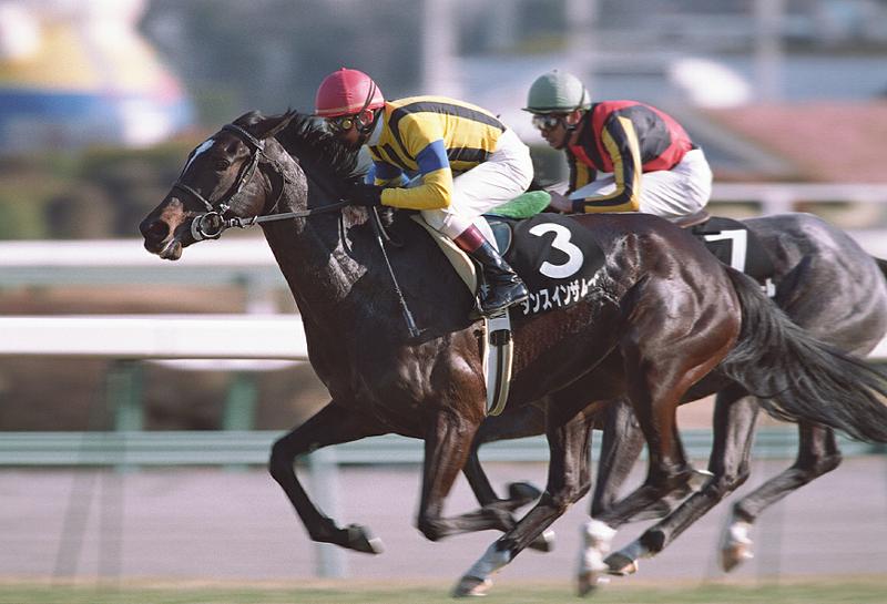 �X�q ��|�� ��������@�_���X�C���U���[�h