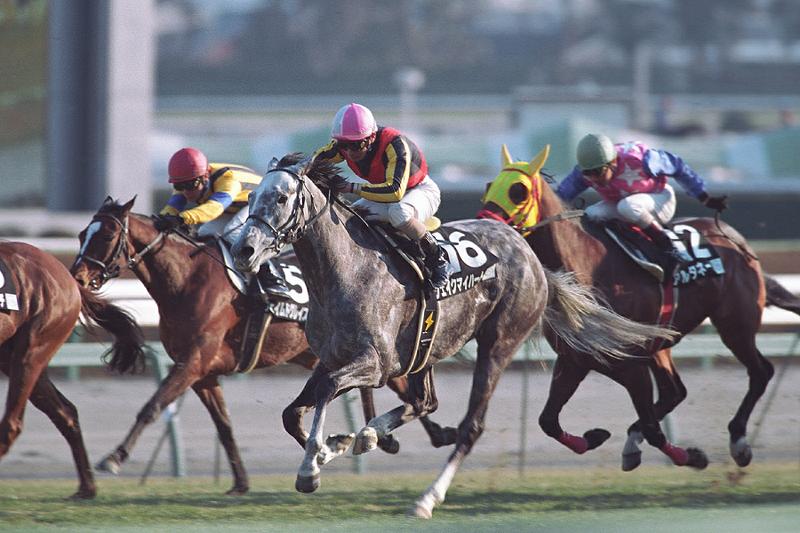 ���\�r�F�͗ǂ������񂾂��E�E�E