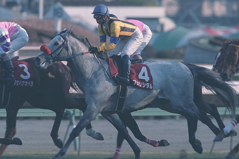 �����x�{�����@�t�F���V�^��