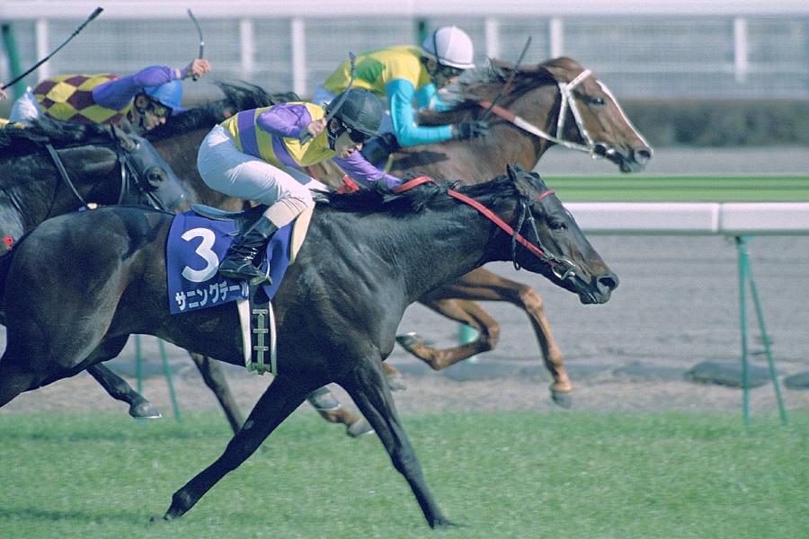 �O����T�j���O�f�[��