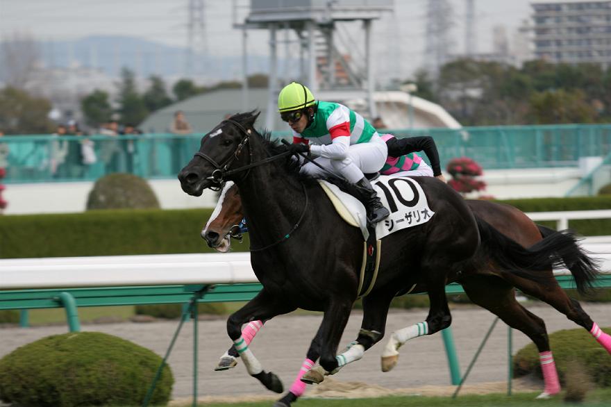 ��u�̋r�@�V�[�U���I