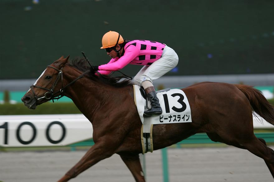 ���n�@�r�[�i�X���C��