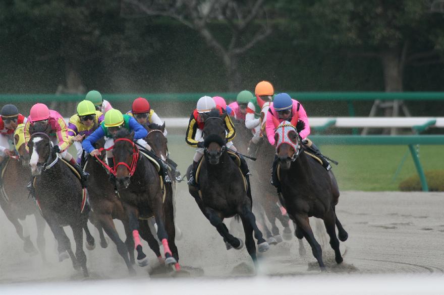 �x�e���M�E�X�r�@�S�R�[�i�[