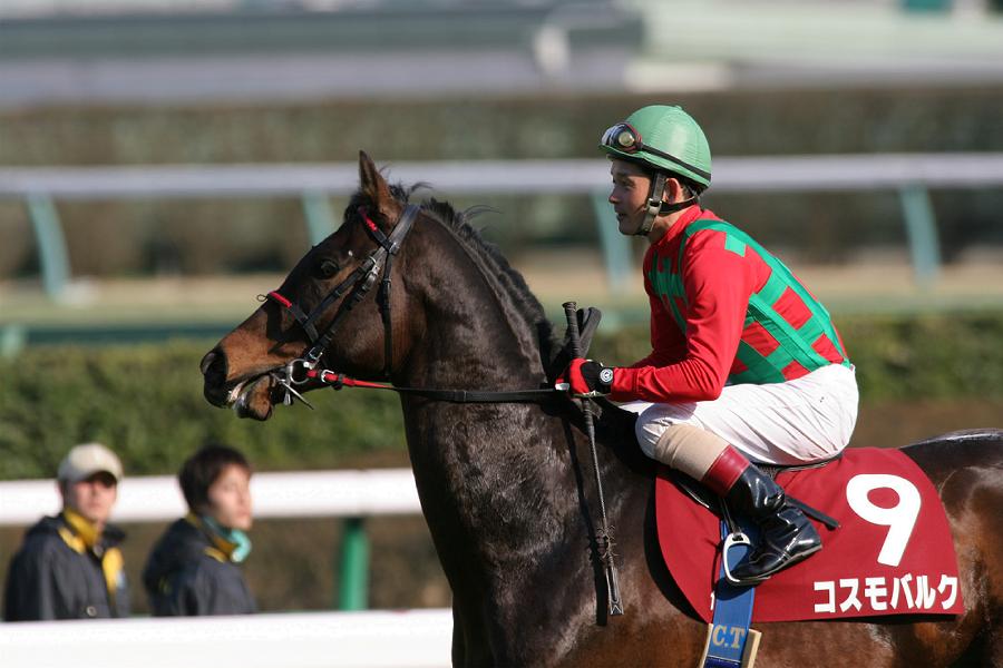 �R�X���o���N�@�{������