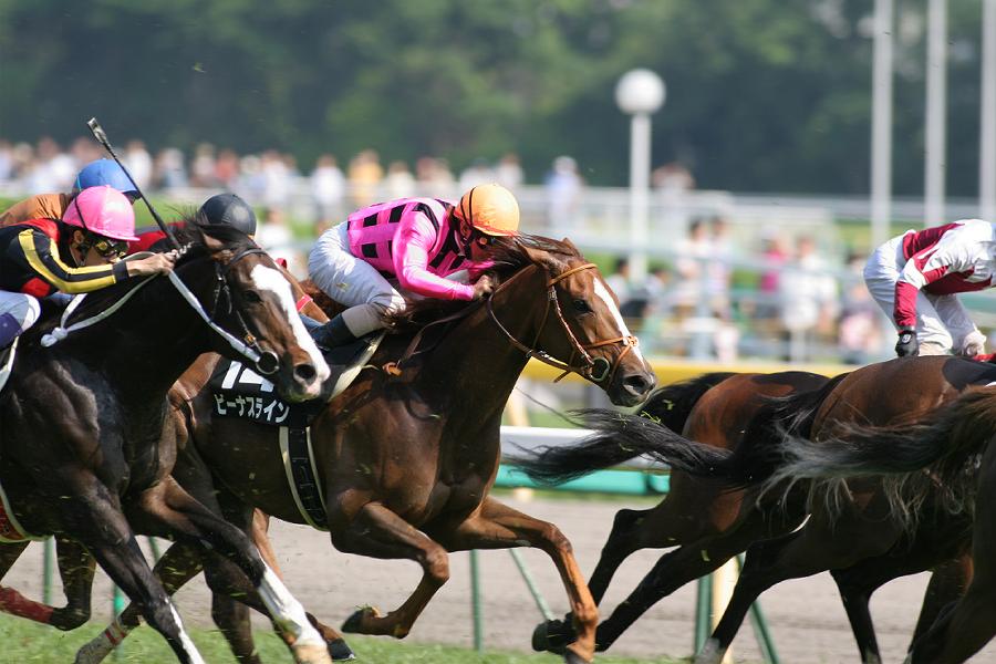 ���n�r�[�i�X���C�� �t���[�E�F�C�r