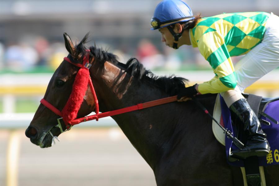 �I�[�N�X�Ԃ��n�@�����m�I�[��