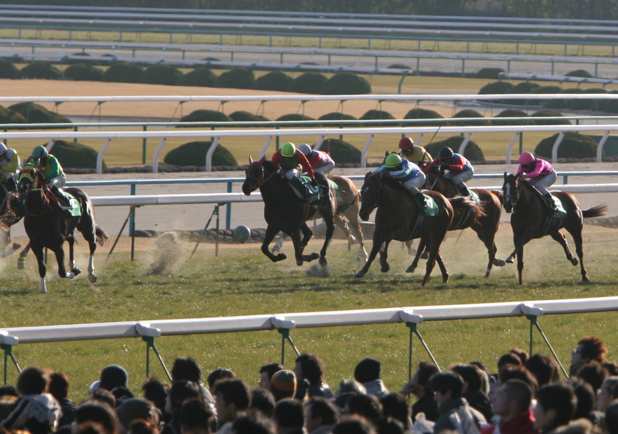 �V���N���[�h�r����