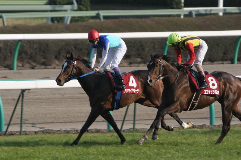 �퐶�܃S�[����