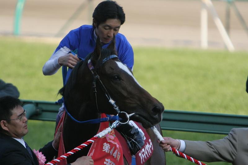 �퐶�܃S�[����