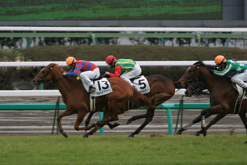 ���R�U�q�@�V�n��