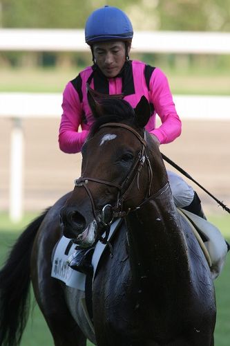 ���[�X���I����