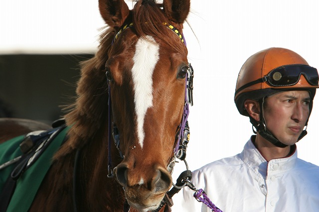 �p�h�b�N�@���C�r���[��