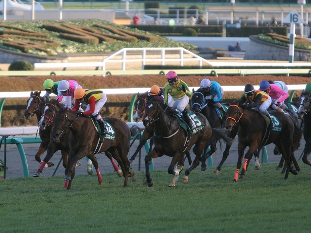 �t�F�A���[�r�@�S�[��