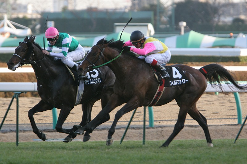 ���x�m�r�@����