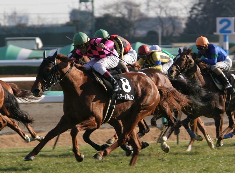 �W���j�A�J�b�v����