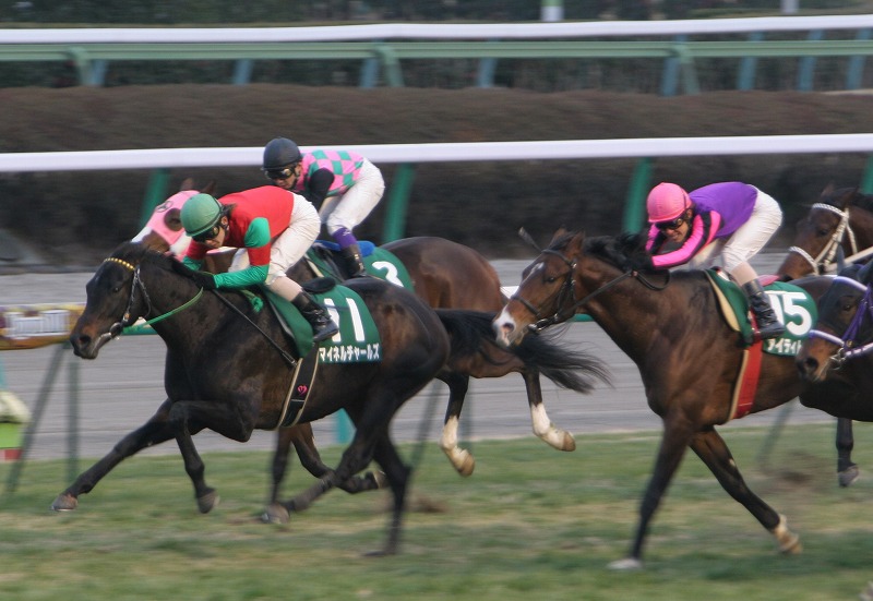 �����t�@�S�[��