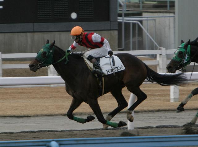 500�����@����