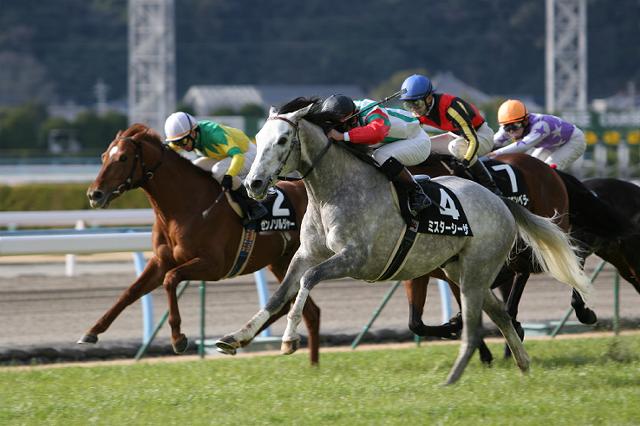 ���q�����