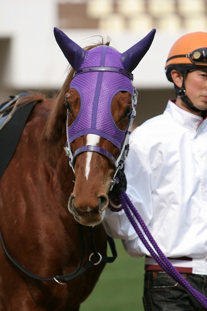 500�����@����