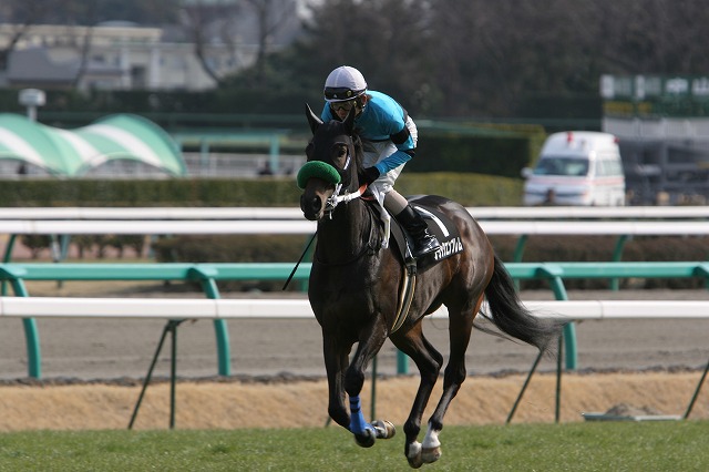 �u���b�N�G���u����