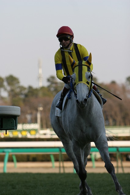 �����O�W�A���[��