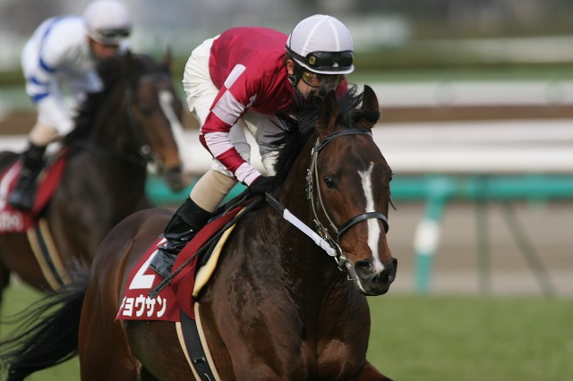 ���R�L�O�@�Ԃ��n