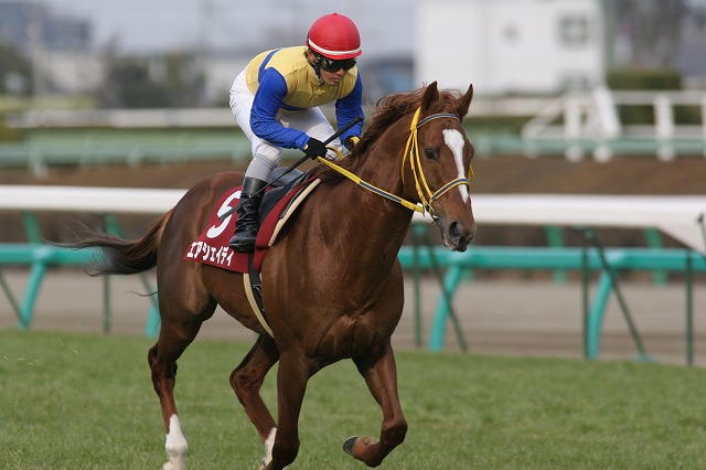 ���R�L�O�@�Ԃ��n