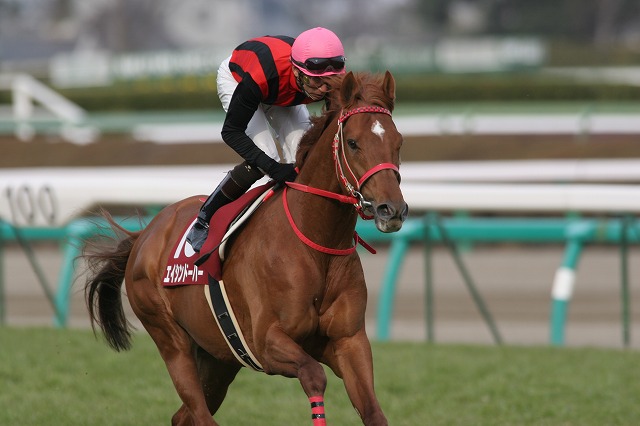 ���R�L�O�@�Ԃ��n