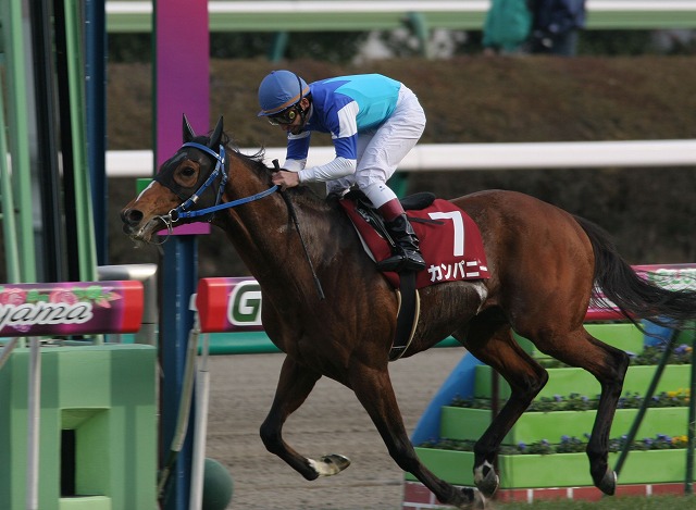 ���R�L�O�@�S�[��