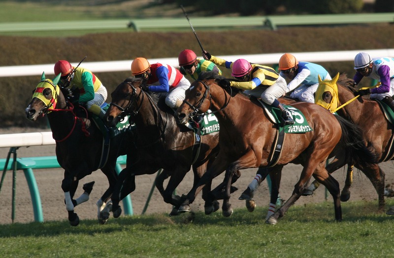 �I�[�V�����r