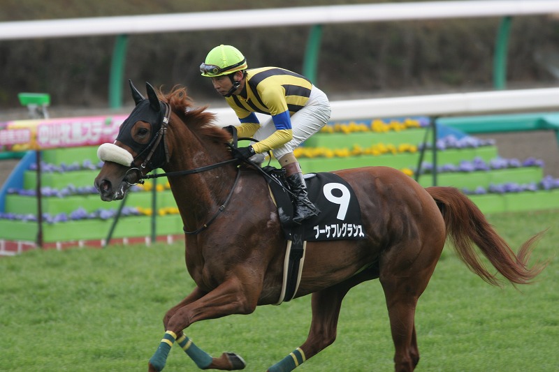 �A�l���l�r