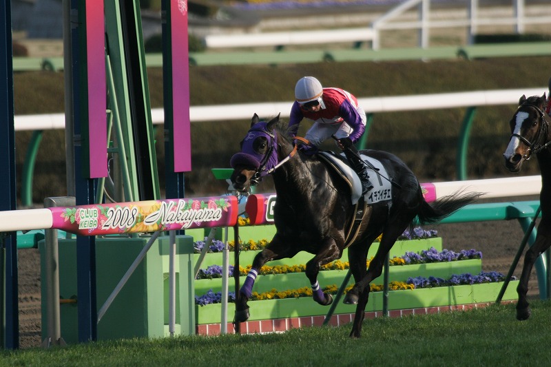 1000����(�Ĕn����)