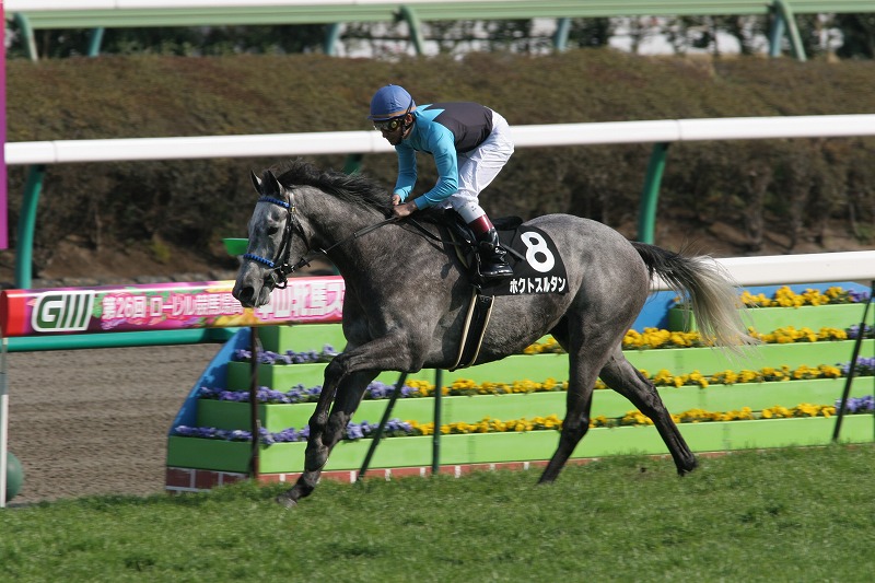 �T���V���C���r