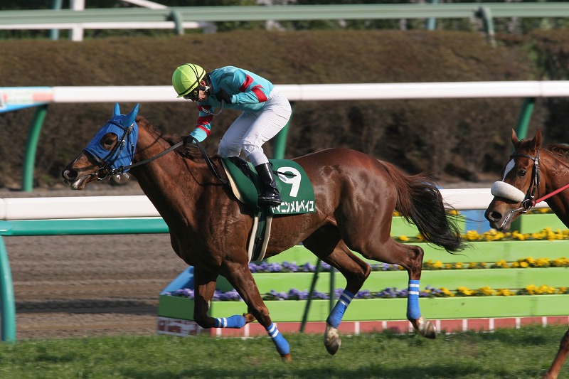 ���R�Ĕn�r