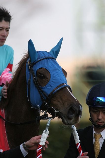 ���R�Ĕn�r�@�E�C�i�[�Y�T�[�N��