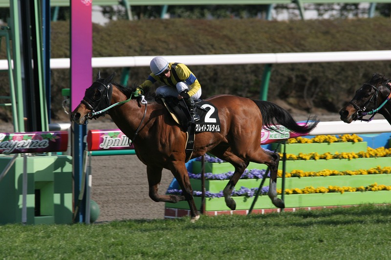 �A�N�A�}�����r