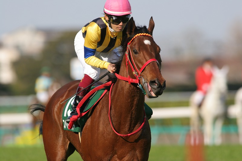 �t�����[�J�b�v