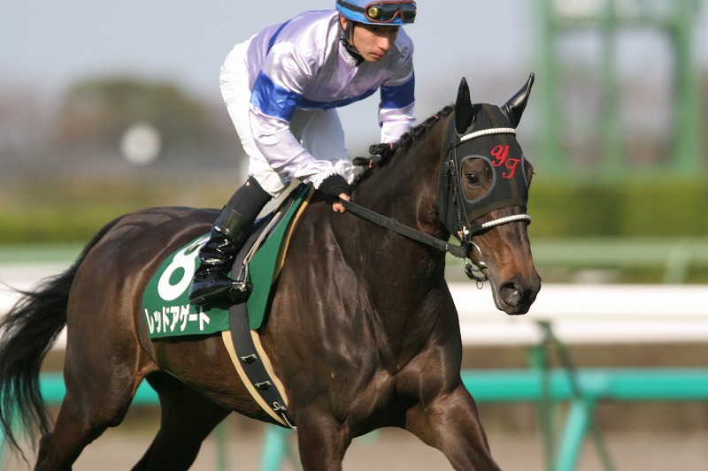 �t�����[�J�b�v