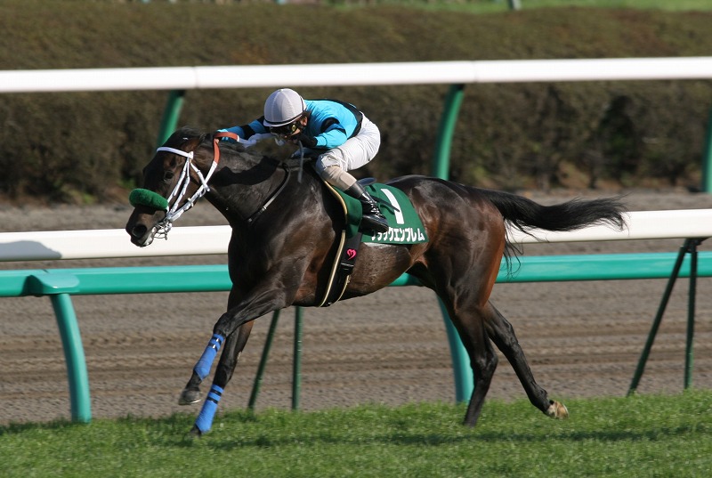 �t�����[�J�b�v