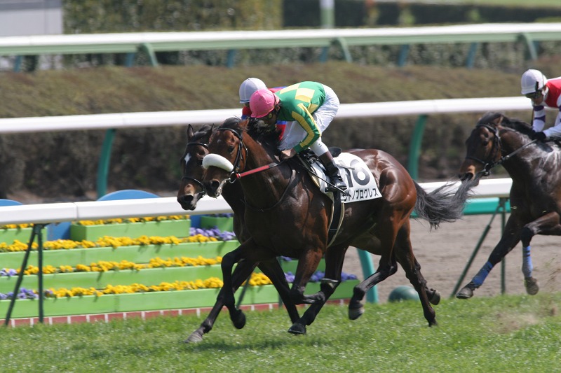 �R�΂T�O�O����