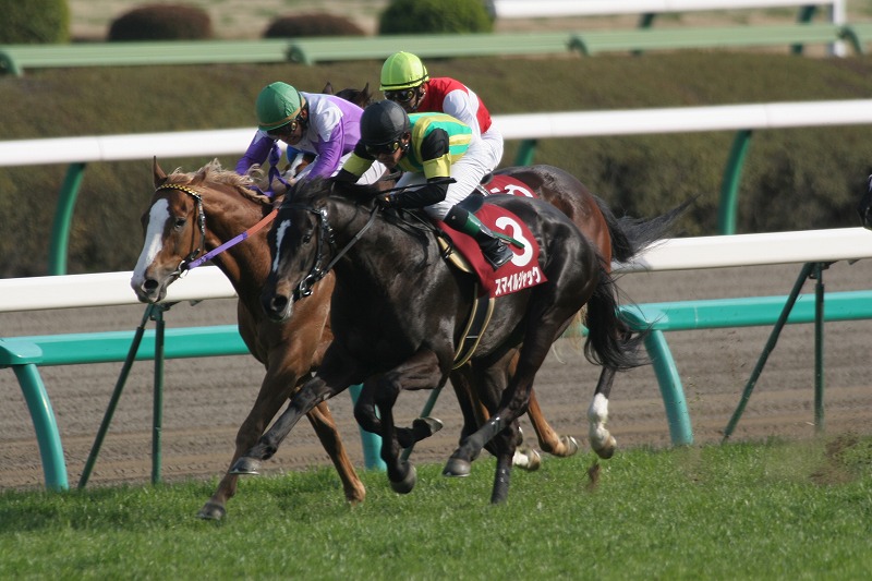 �X�v�����O�r�@�S�[���O